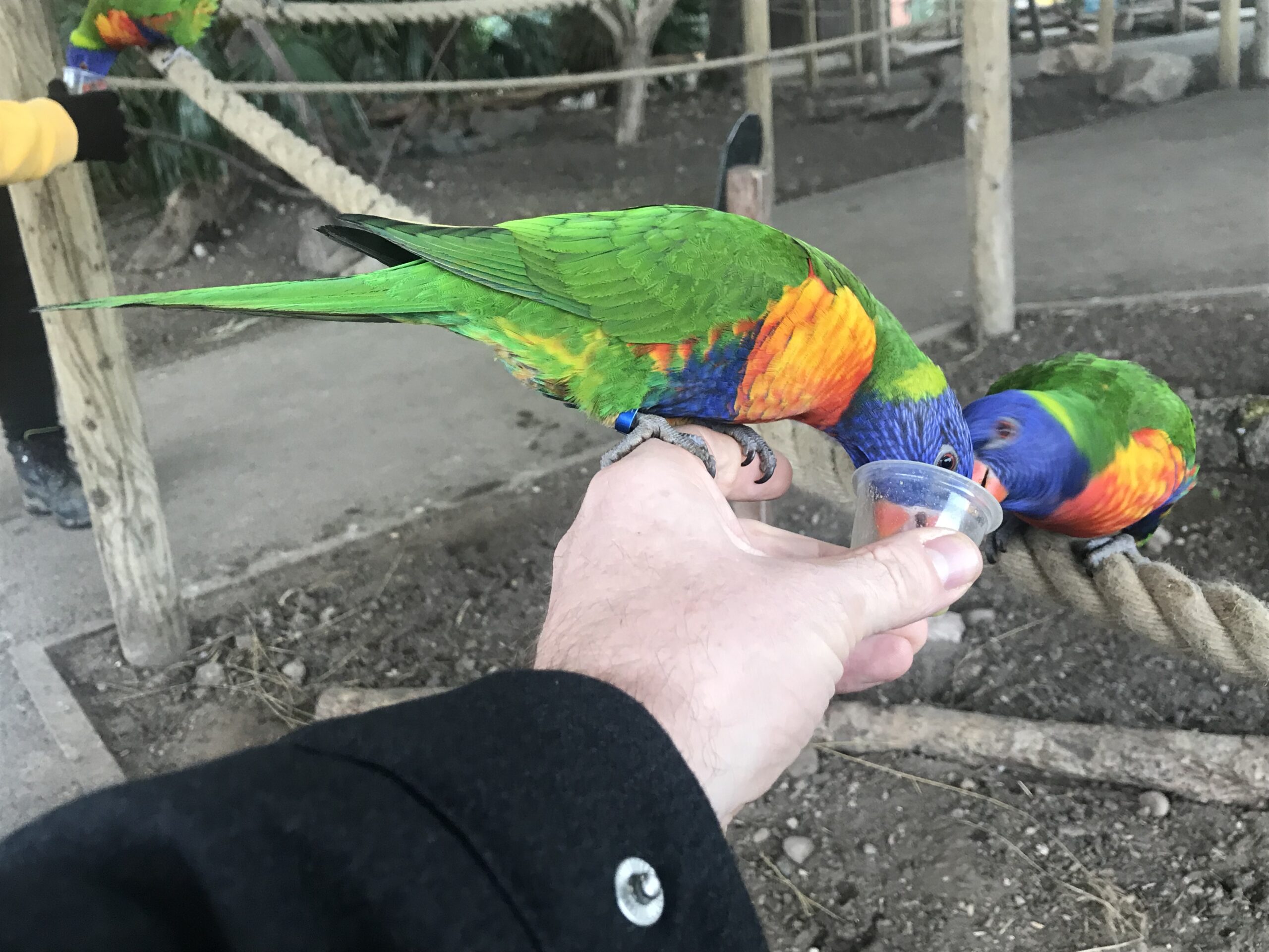 Day 22 – How are you doing?