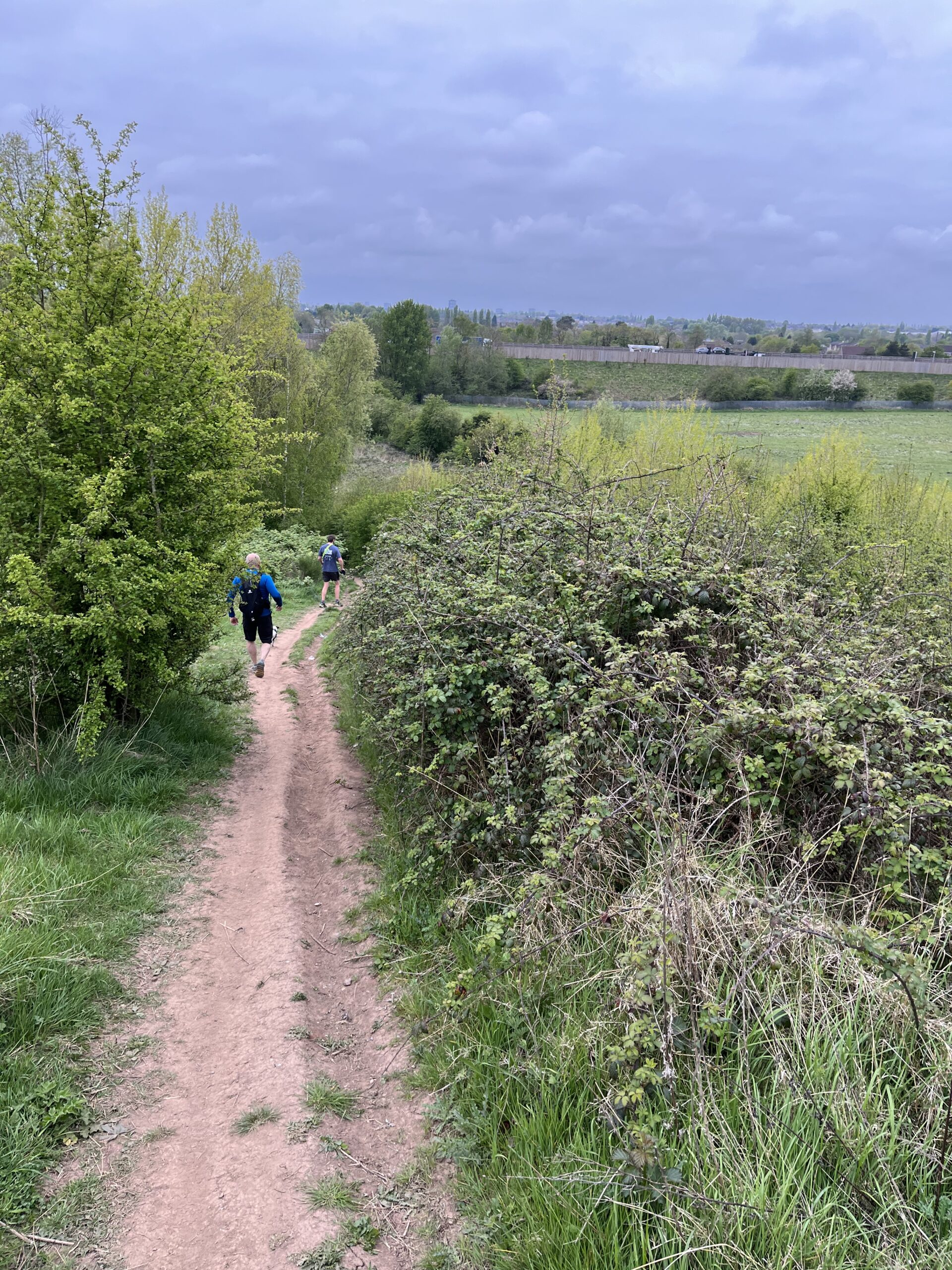 Getting back on it …