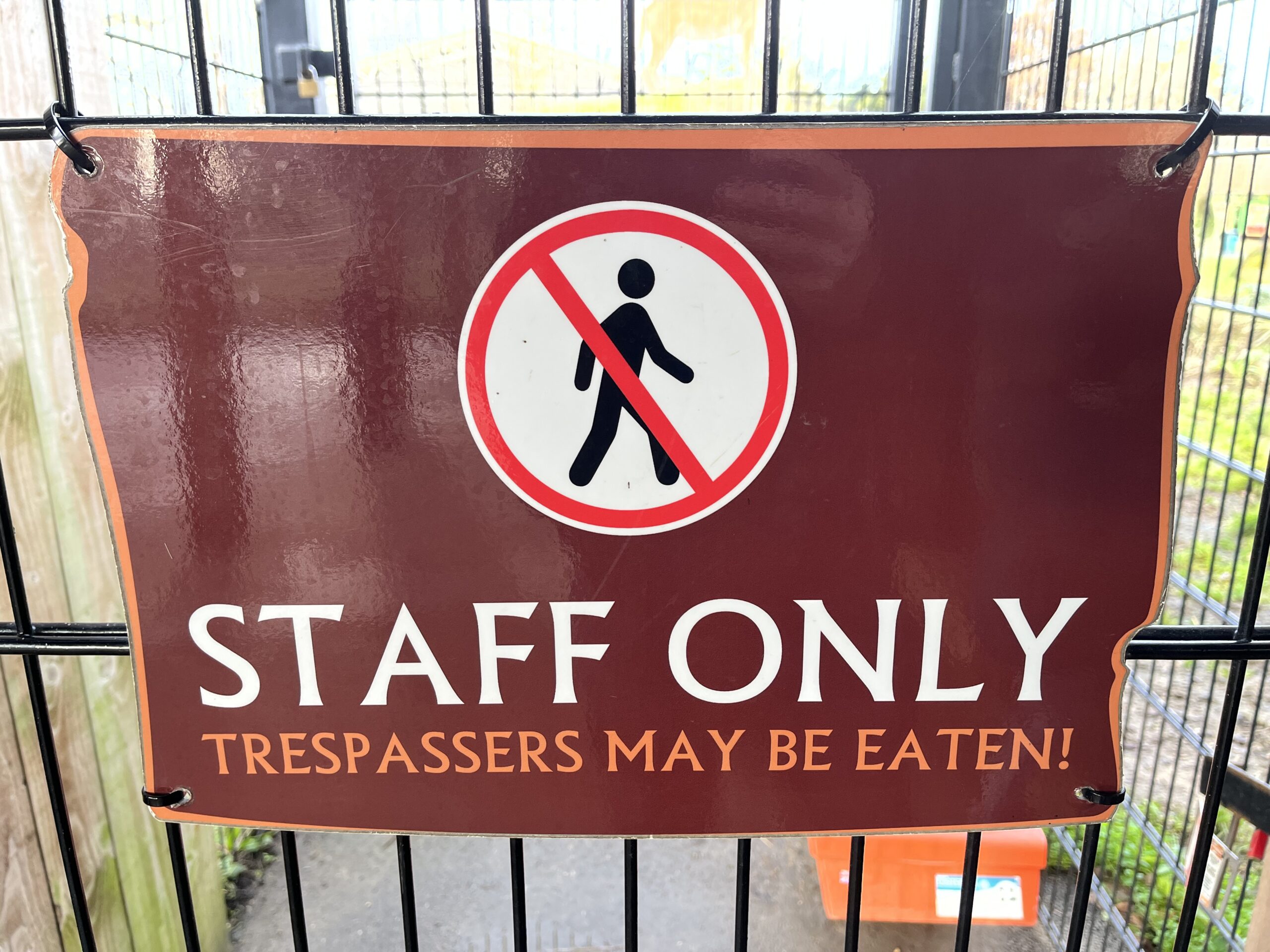 Is it too strict?
