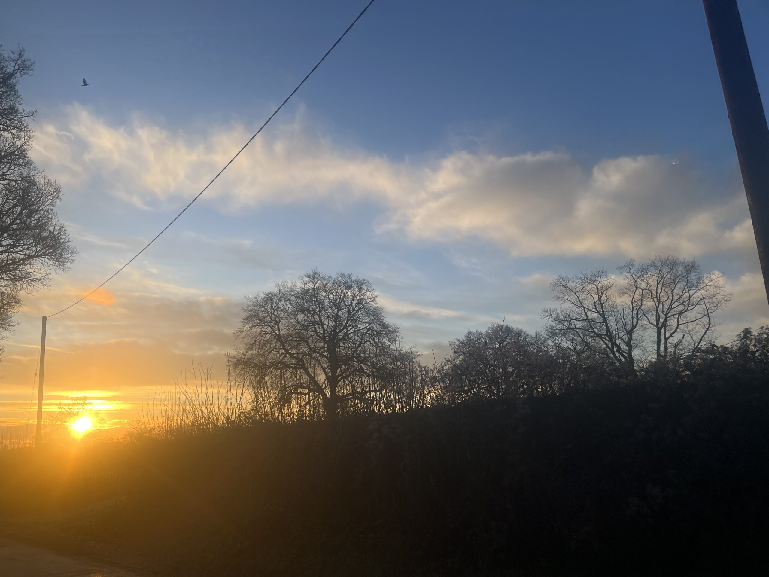 Win the morning …