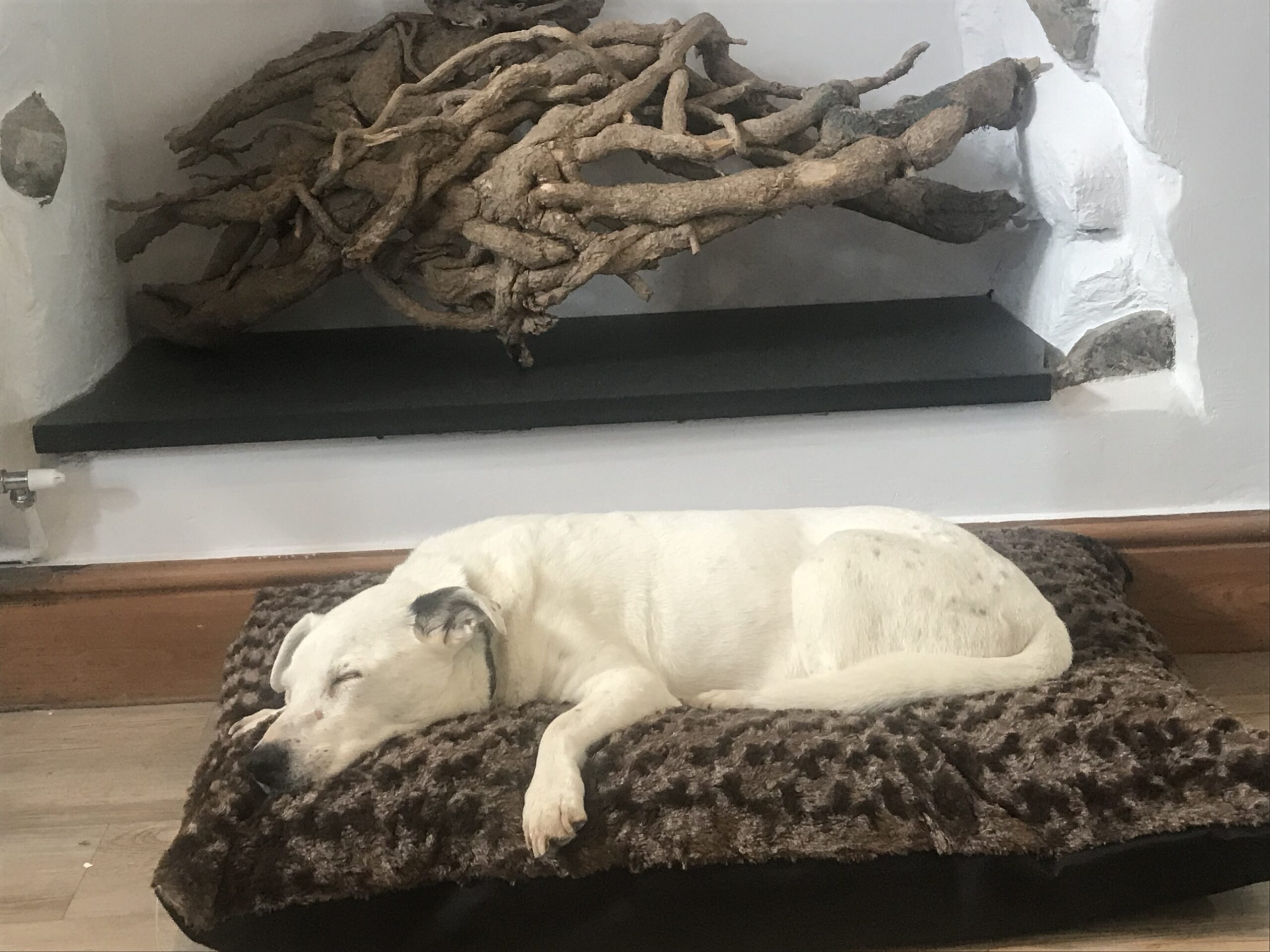 Feeling sleepy.