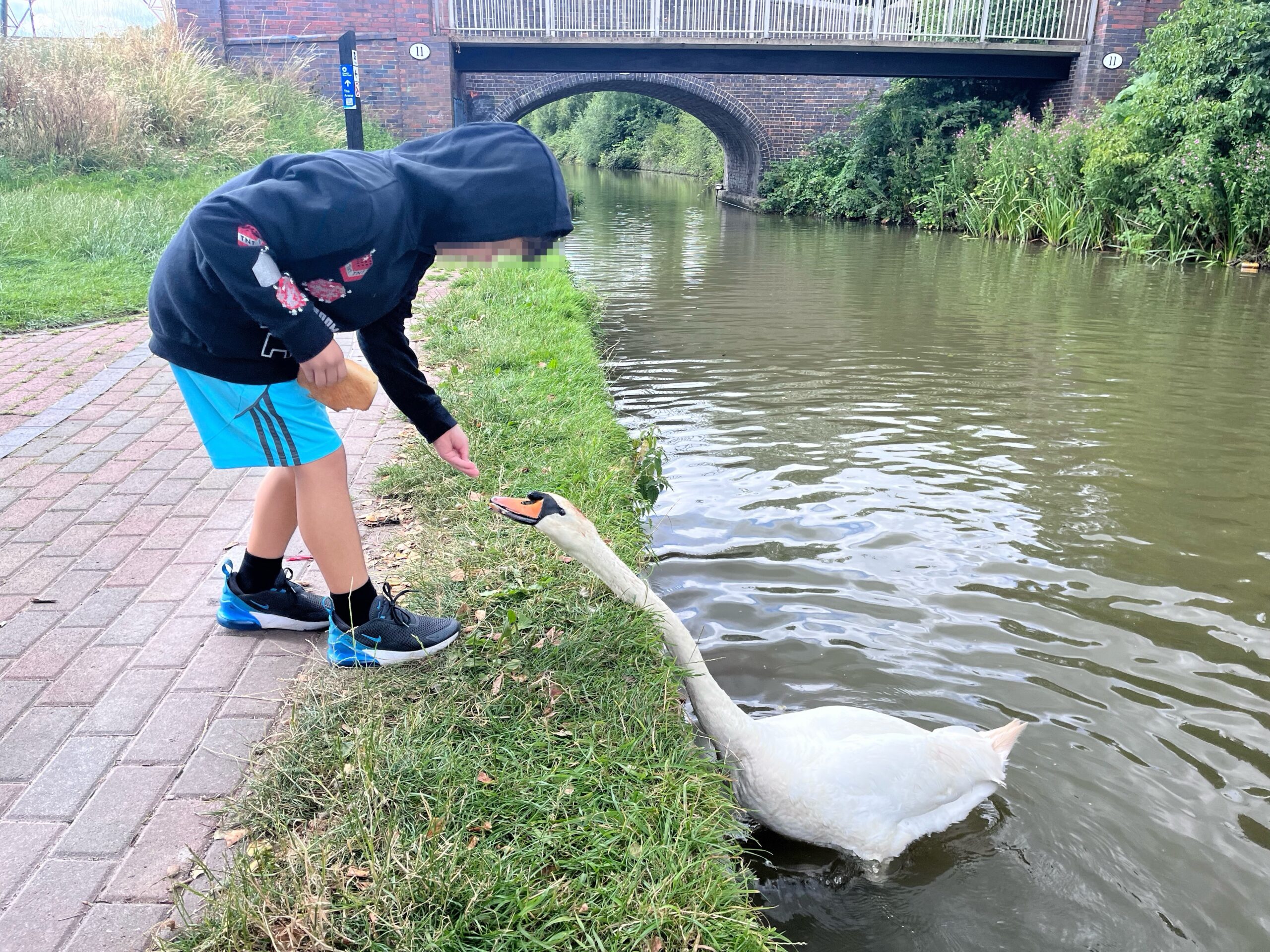Pick your own
