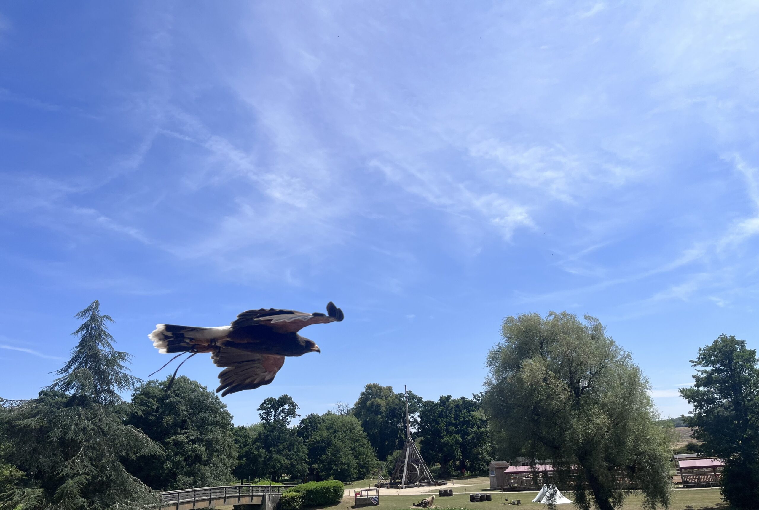 Castles, Eagles, Dragons and Wizardry.
